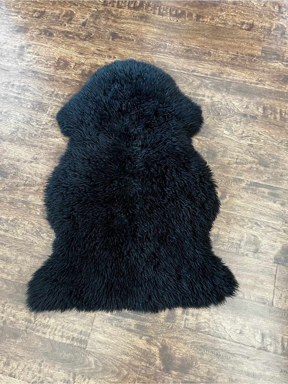 Auckland Black Sheepskin Accent Rug - Home Accents